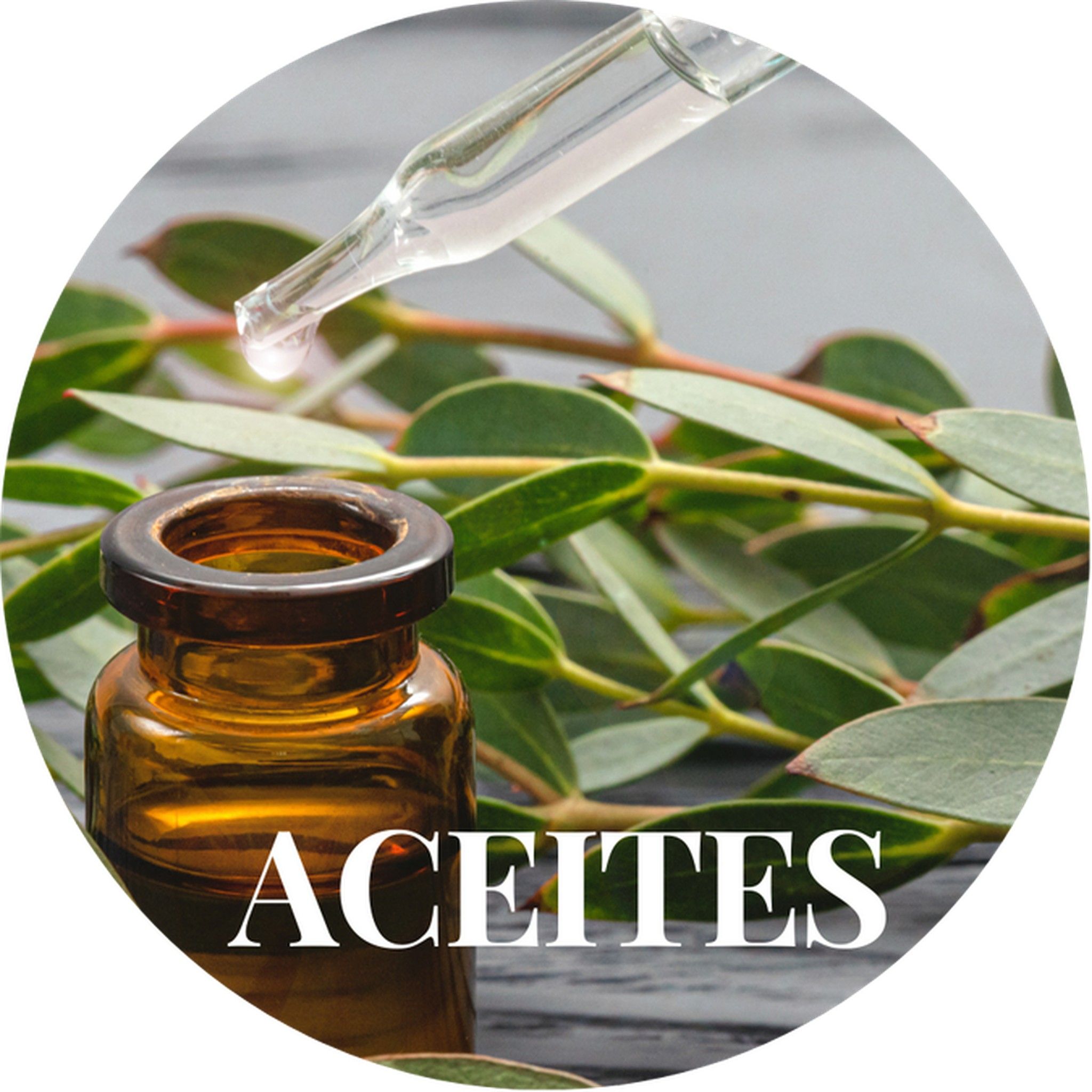 Cat_aceites_Home