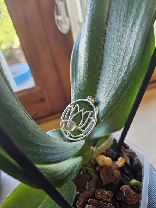 Colgantes de plata con mineral. Flor de loto con lapislázuli.