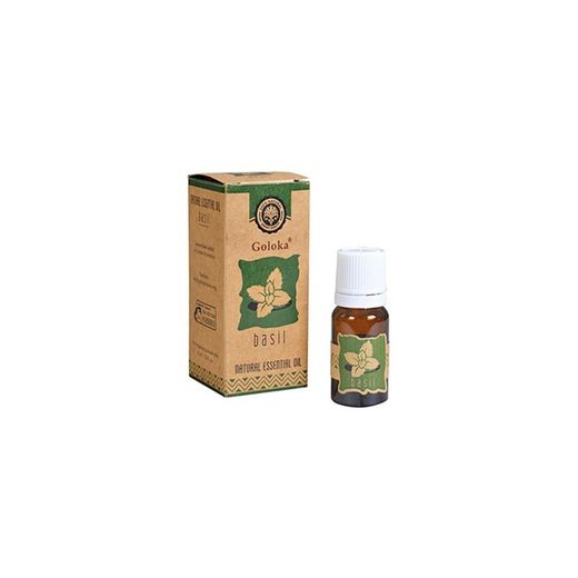 GOLOKA Basil / Albahaca