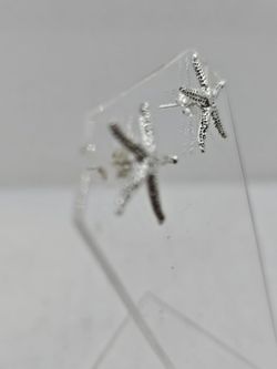 Pendiente tuerca estrella de mar